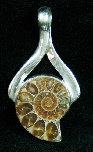 Fossil Ammonite Pendant - Sterling Silver #12055